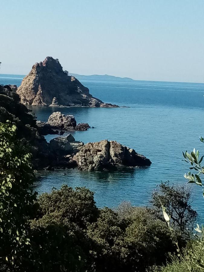 Laetitia Daire Porto Santo Stefano  Dış mekan fotoğraf